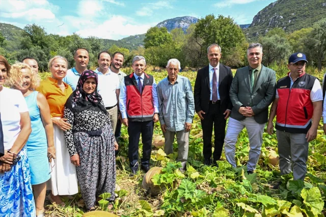 Antalya'da Kabak Hasat Şöleni: Döşemealtı'nda Görülmemiş Etk...
