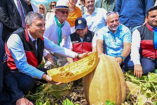 Antalya'da Kabak Hasat Şöleni: Döşemealtı'nda Görülmemiş Etkinlik