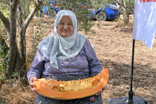 Antalya'da Kabak Hasat Şöleni: Döşemealtı'nda Görülmemiş Etkinlik