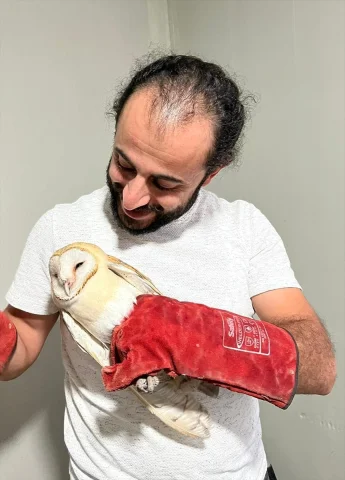 Erzurum'un Misafiri Peçeli Baykuş Yeniden Doğaya Kavuştu