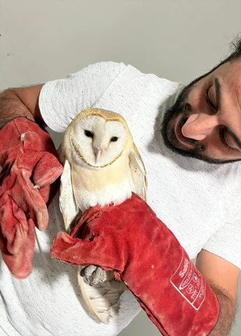 Erzurum'un Misafiri Peçeli Baykuş Yeniden Doğaya Kavuştu
