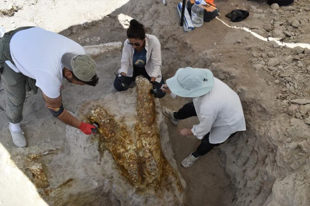 Kayseri'nin Derinliklerinden Çıkan 7,7 Milyon Yıllık Sır: Fi...