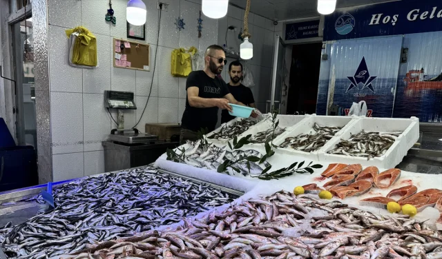 Sinop'ta Hamsi Bolluğu Balıkçıların Yüzünü Güldürüyor