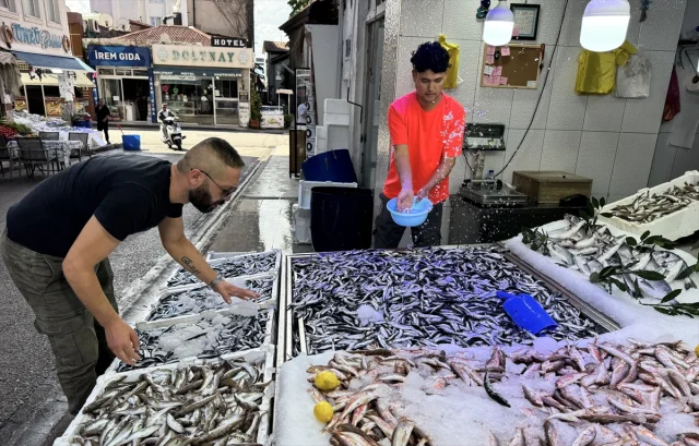 Sinop'ta Hamsi Bolluğu Balıkçıların Yüzünü Güldürüyor