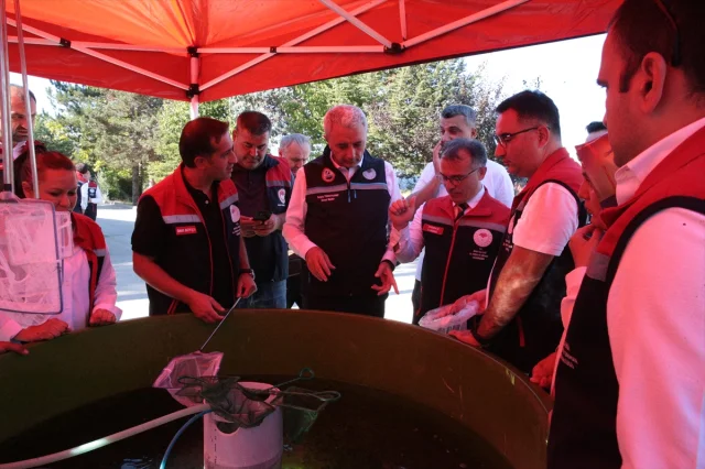 Bolu'da Su Ürünleri Üretiminde Büyük Atılım: Milyonlarca Balık Yavrusu Üretildi