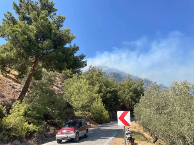 Aydın'ın Zeytinliklerinde Çıkan Gizemli Yangın Kontrol Altın...