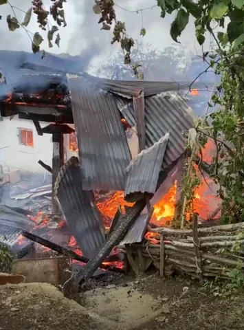 Artvin Borçka'da Yangın Felaketi Dört Evi Yok Etti