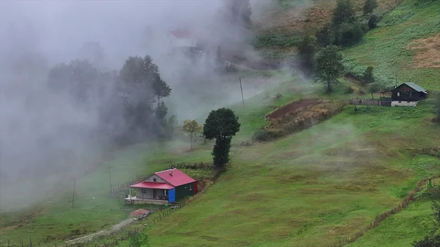 Trabzon'un Gizemli Yaylalarında Sis Büyüledi