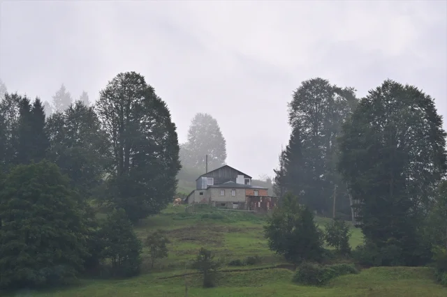 Trabzon'un Gizemli Yaylalarında Sis Büyüledi