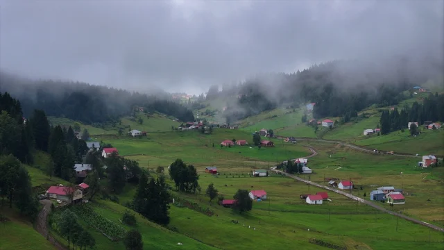 Trabzon'un Gizemli Yaylalarında Sis Büyüledi