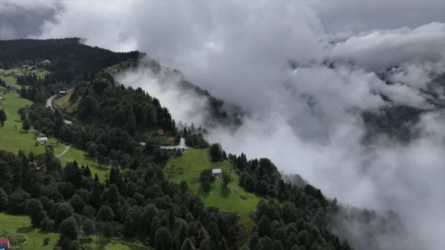 Trabzon'un Gizemli Yaylalarında Sis Büyüledi