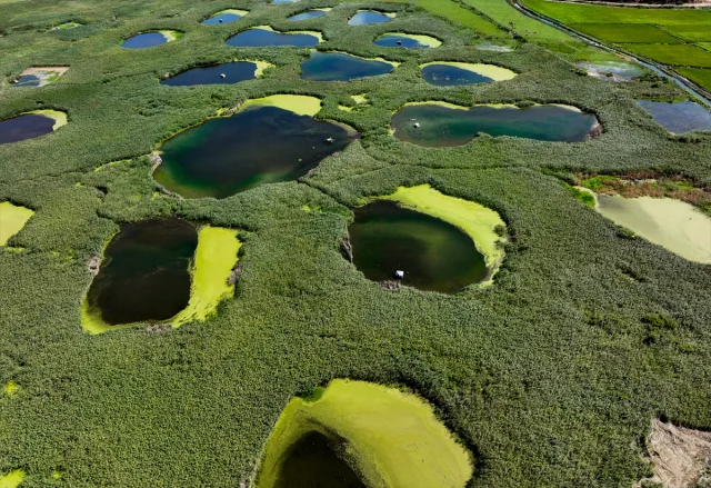 Edirne'nin Gizli Cenneti: Göl Baba Sulak Alanı Kuraklığa Mey...