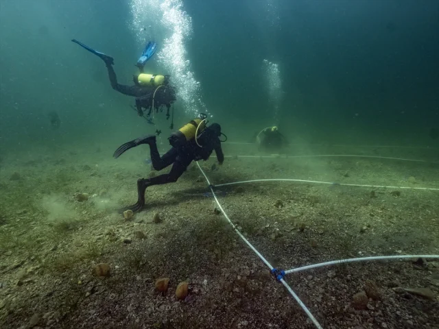Marmara Denizi'nin Gizli Kahramanı Pinalar