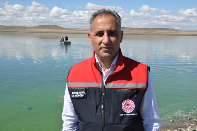 Kars'ta Sazak Balığı Seferberliği Balıkçılığı Canlandırıyor