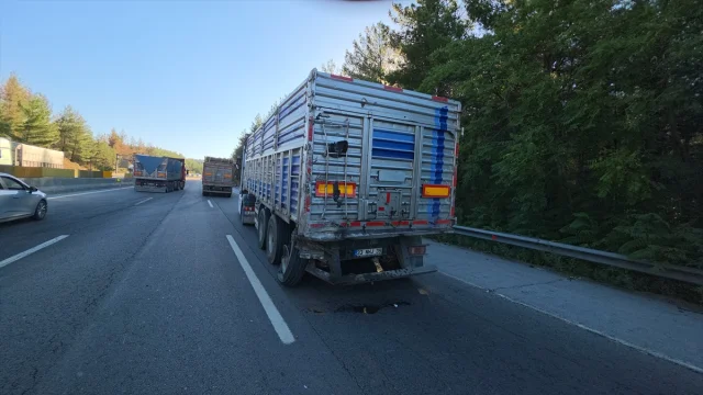Adana'da Kaza Şoku: İki Tır Çarpıştı, Karpuzlar Yola Saçıldı