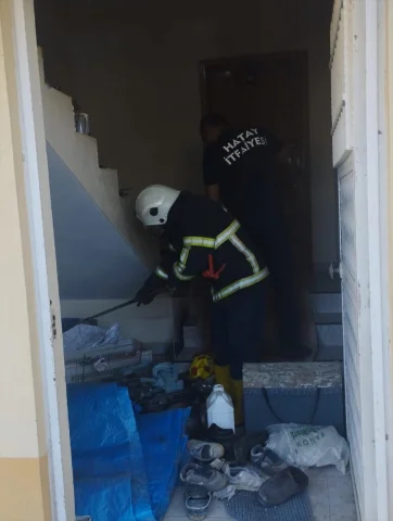 Hatay'da Korku Dolu Anlar: Evlerine Yılanlar Giren Aileler Ne Yaptı?