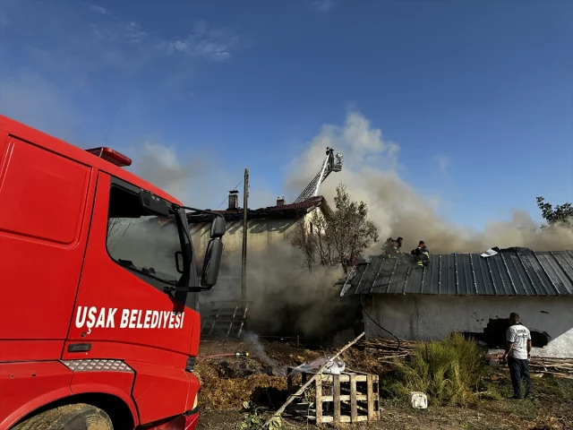 Uşak'ta Korkutan Yangın: Ekipler Canlıları Son Anda Kurtardı