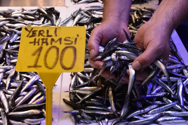 Trabzon'da Hamsi Fiyatları El Yakıyor