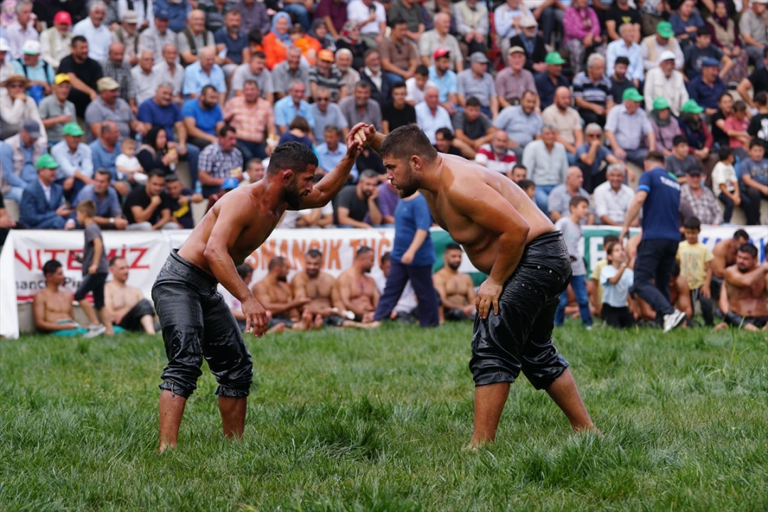 Erkan Taş'tan Çorum'da Zafer: Yağlı Güreş Festivali'nde Fırtına Gibi Esti