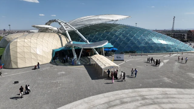 Konya'da Tropikal Kelebek Bahçesi Büyüleyici Güzelliğiyle Di...