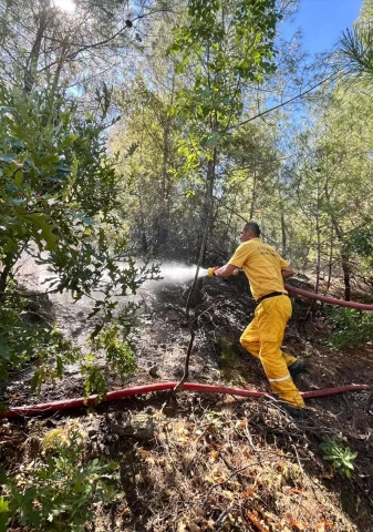 Adana'nın Yaylalarında Yangın Paniği Son Buldu