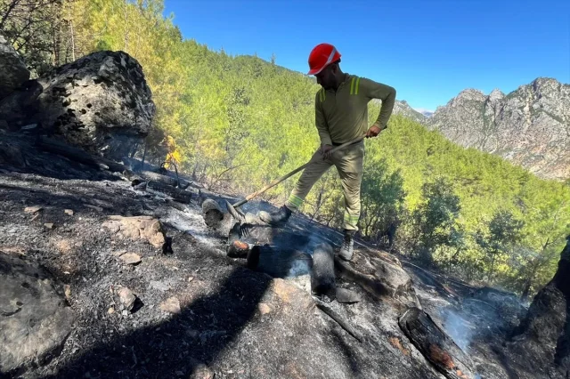 Adana'nın Yaylalarında Yangın Paniği Son Buldu