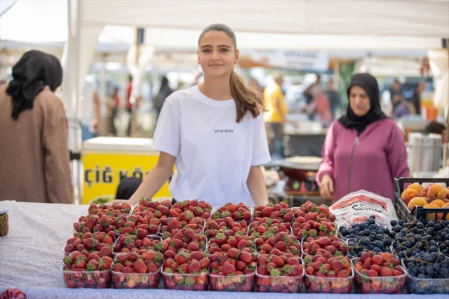 Sakarya'da Çilek Festivali Coşku Dolu Anlara Sahne Oldu