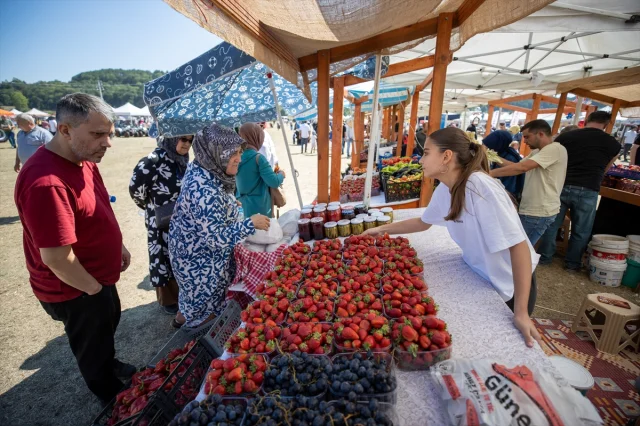 Sakarya'da Çilek Festivali Coşku Dolu Anlara Sahne Oldu