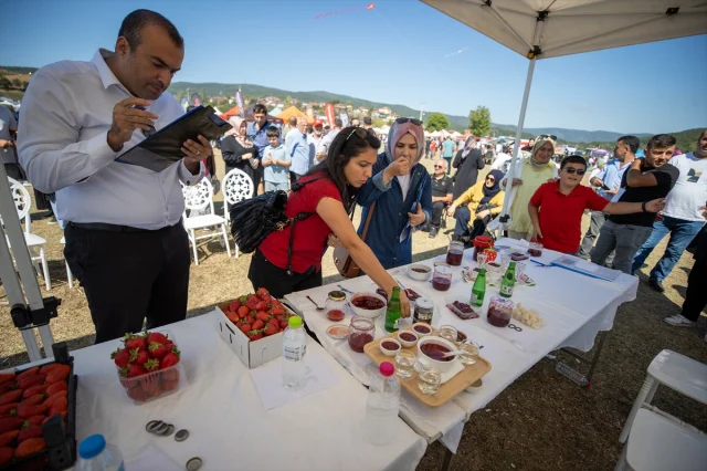 Sakarya'da Çilek Festivali Coşku Dolu Anlara Sahne Oldu