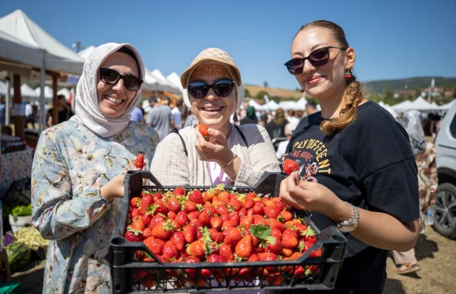 Sakarya'da Çilek Festivali Coşku Dolu Anlara Sahne Oldu