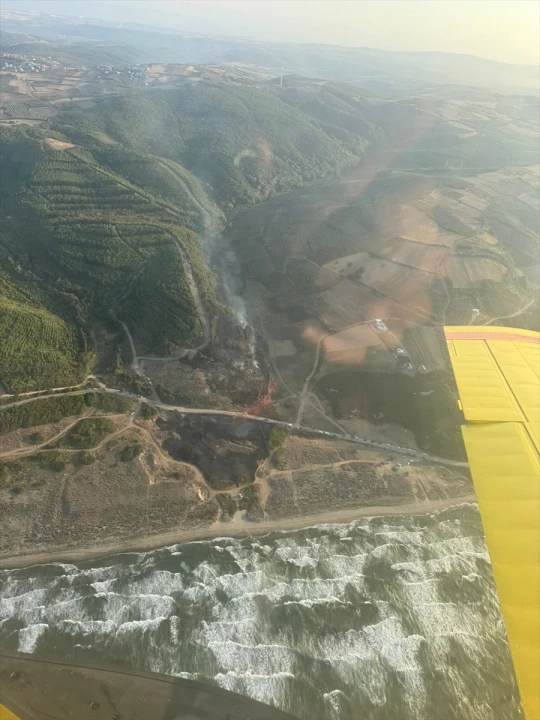 Bursa'nın Kalbinde Yürekler Ağızda: Orman Yangını Büyük Korku Yarattı