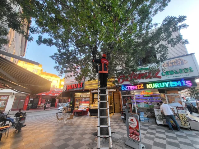 Çorum'da Kurtarılan Mahsur Kedi Herkesi Gülümsetti