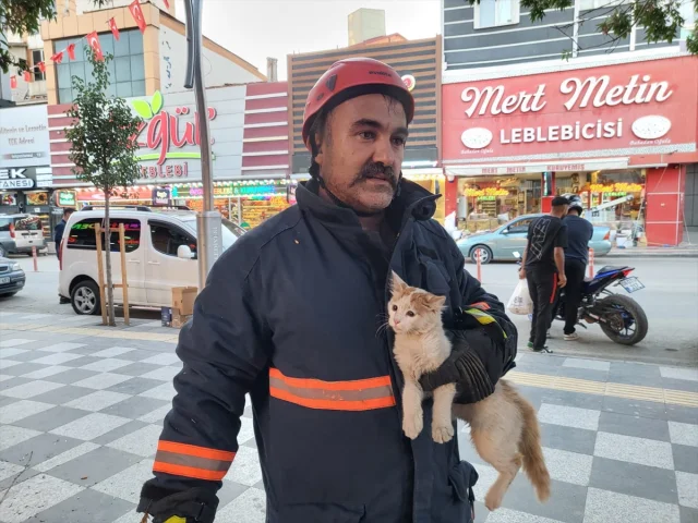 Çorum'da Kurtarılan Mahsur Kedi Herkesi Gülümsetti