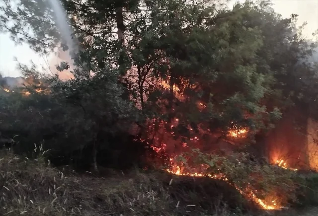 Hatay'daki Orman Yangınına Hızlı Müdahale