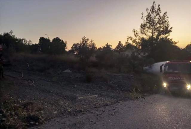 Hatay'daki Orman Yangınına Hızlı Müdahale