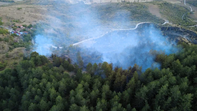 Karabük'te Orman Yangını Neyse ki Kontrol Altında