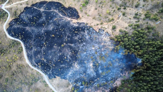 Karabük'te Orman Yangını Neyse ki Kontrol Altında