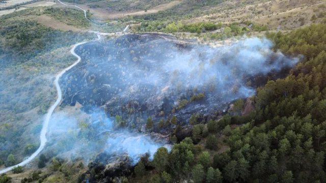 Karabük'te Orman Yangını Neyse ki Kontrol Altında