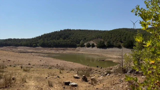 Kuraklık Çanakkale'yi Kıskacına Aldı: Barajlar ve Tarım Alarm Veriyor