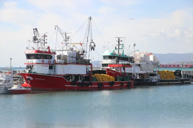 Tekirdağ'da Poyraz Hızı Nefes Kesti: Deniz Ulaşımı Felç Oldu