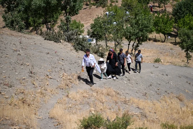Şehirden Kaçıp Doğaya Dönen Çift Arıcılıkta Sipariş Patlamas...