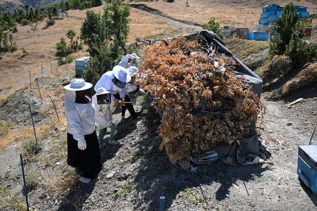 Şehirden Kaçıp Doğaya Dönen Çift Arıcılıkta Sipariş Patlaması Yaşıyor