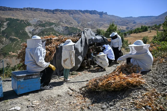 Şehirden Kaçıp Doğaya Dönen Çift Arıcılıkta Sipariş Patlaması Yaşıyor