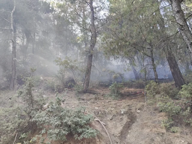Balıkesir'de Ormanda Çıkan Yangın Hızla Kontrol Altına Alınd...