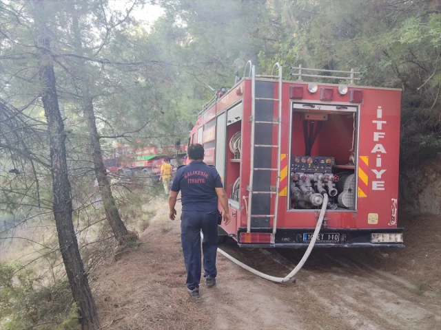 Balıkesir'de Ormanda Çıkan Yangın Hızla Kontrol Altına Alındı