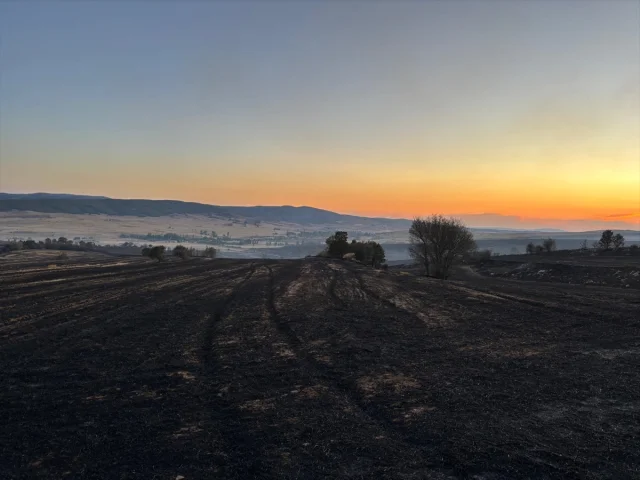 Çorum'da Orman Yangını Tehlikesi Yakın Takipte: Ekipler Seferber Oldu