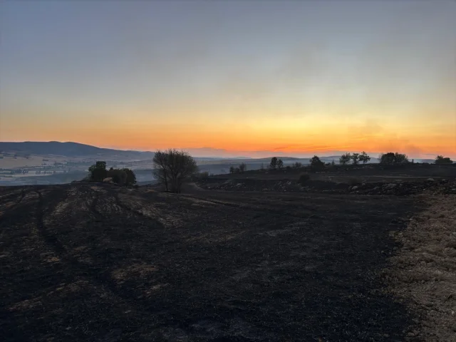 Çorum'da Orman Yangını Tehlikesi Yakın Takipte: Ekipler Seferber Oldu