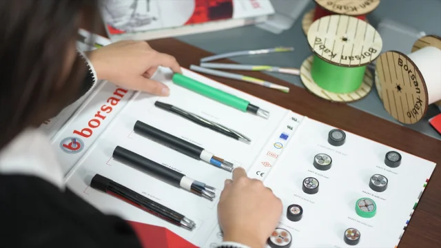 Türkiye'nin Elektrik Kablolarında Dev Yenilik: Salyangoz ve...