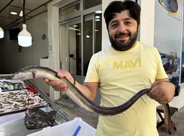 Sinop'ta Şaşırtıcı Av: Hamsi Ağına Takılan Sürpriz