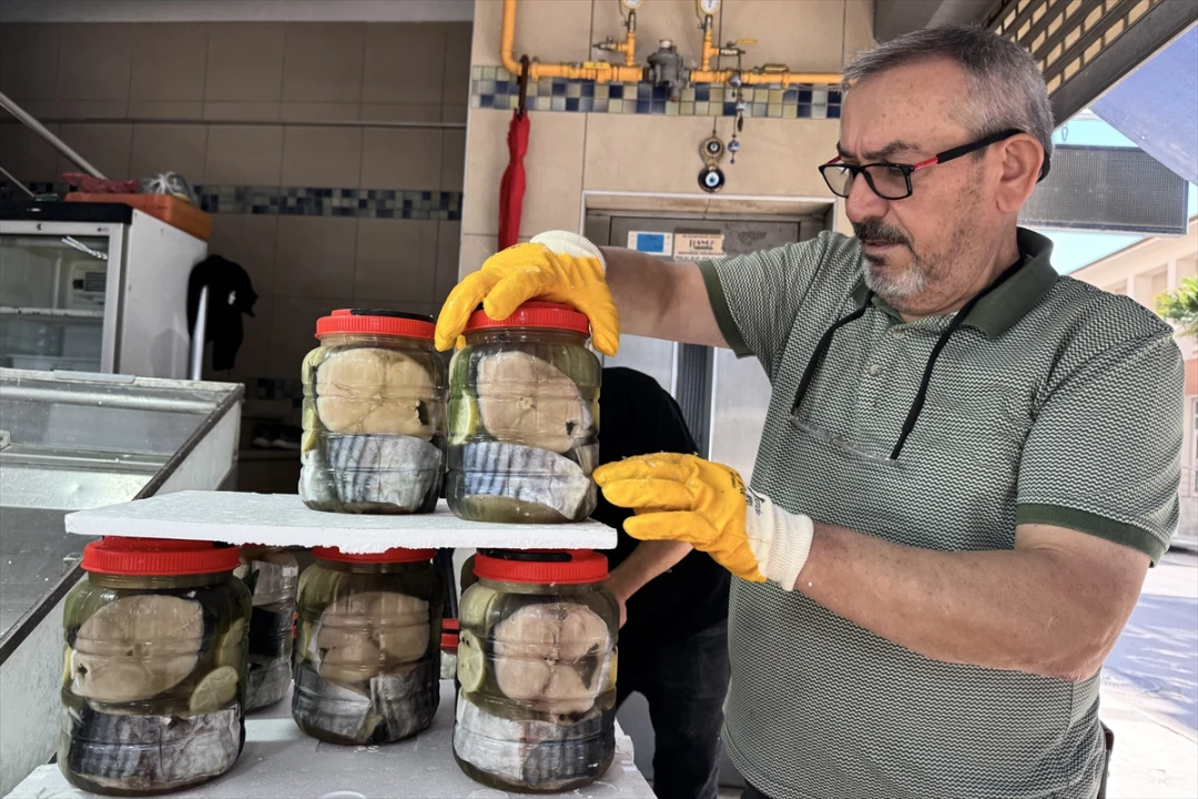 Sinop'ta Coğrafi İşaretli Lakerda Raflarda: Fiyatlar Yükseliyor